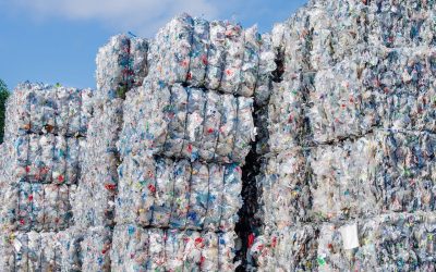 7 Recycling Startups Fixing The Waste Crisis