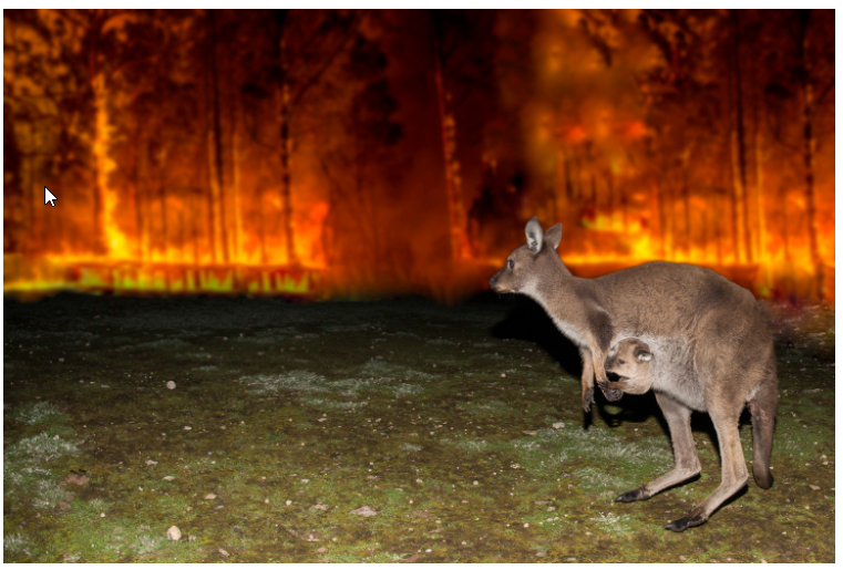 Australian Bush Fires 2019-2020