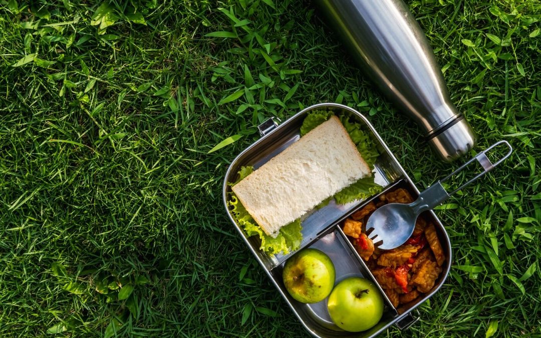 Copy of 11 Zero Waste Lunch Boxes And Kits You Must Try