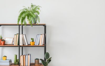 18 Eco-Friendly Books [Lifestyle Tips, Cookbooks & More]